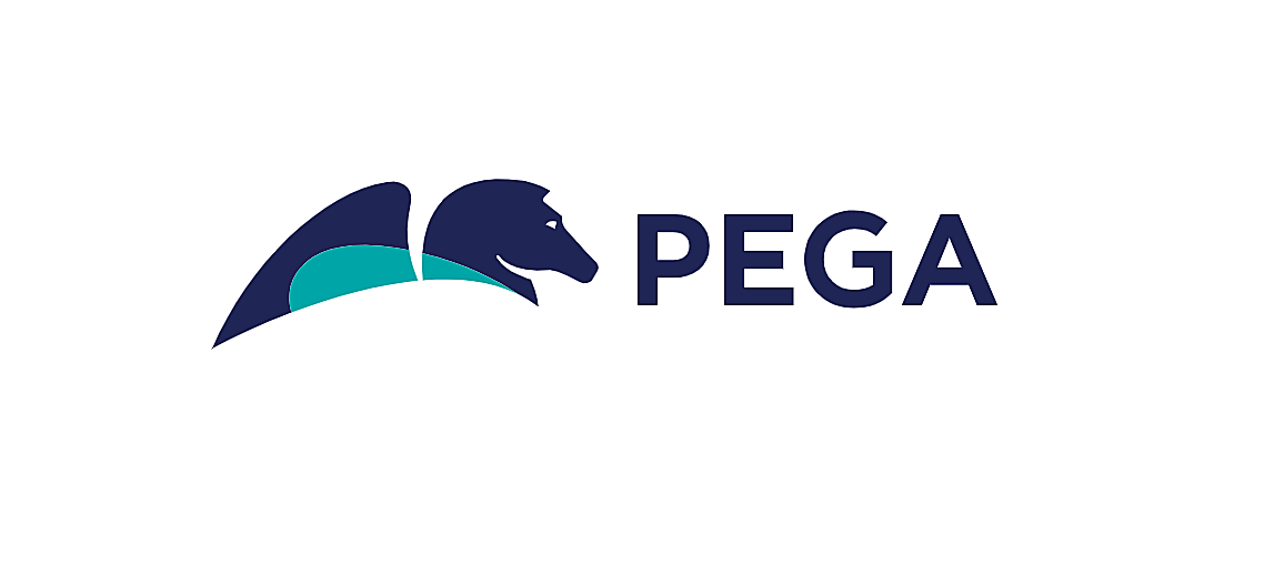 Pegasus logo gross-1