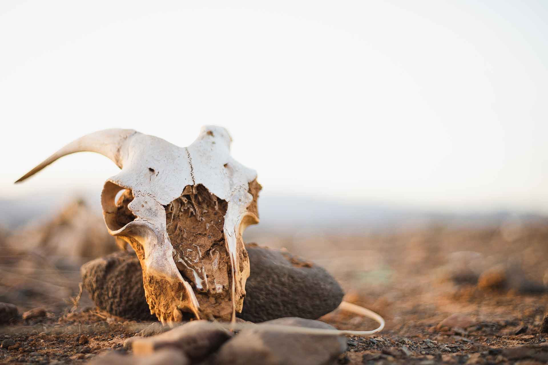 Der Mythos vom Tod der Customer Experience bis 2030