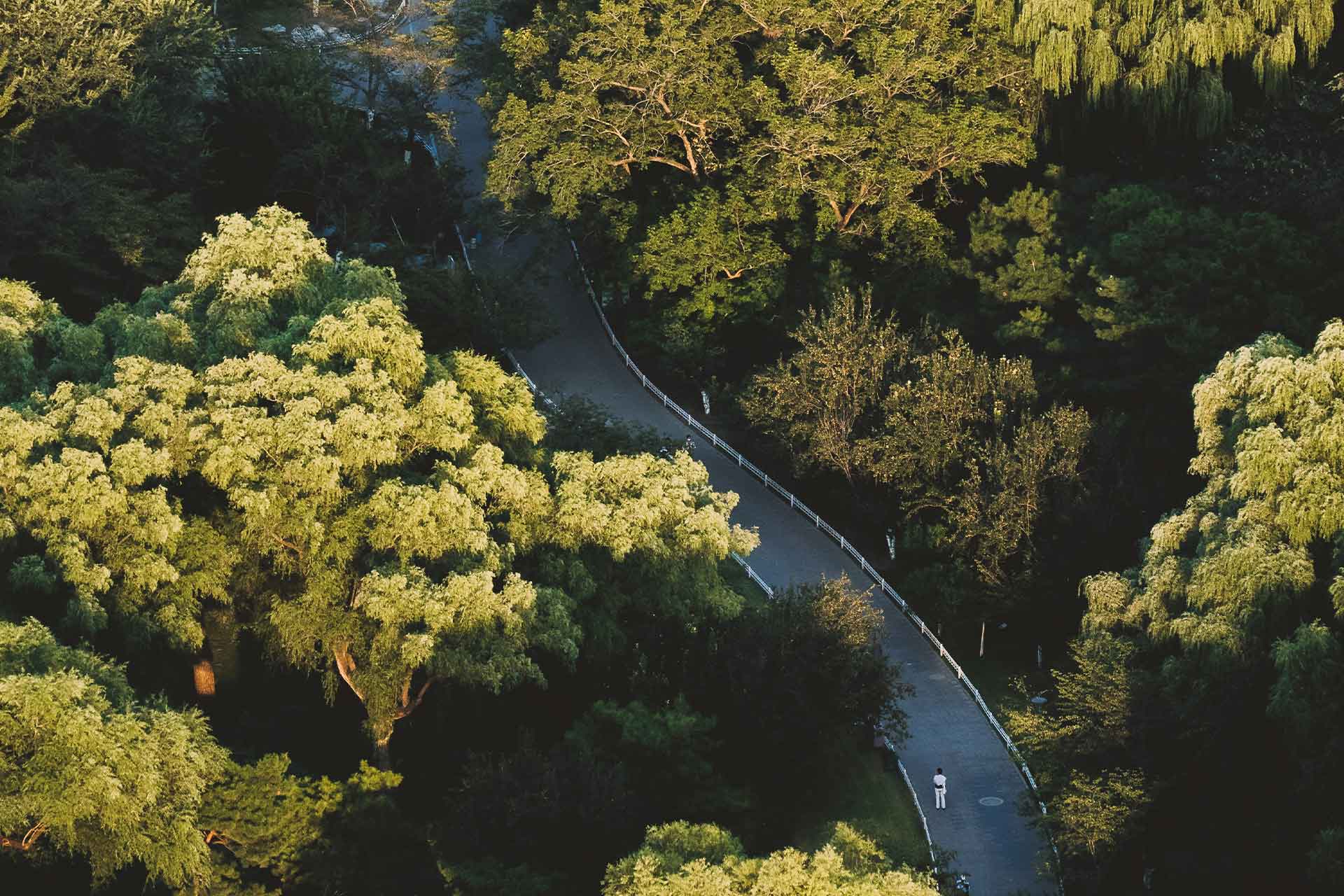 Studie belegt: Nachhaltigkeit wird zum Innovationstreiber Studie belegt: Nachhaltigkeit wird zum Innovationstreiber