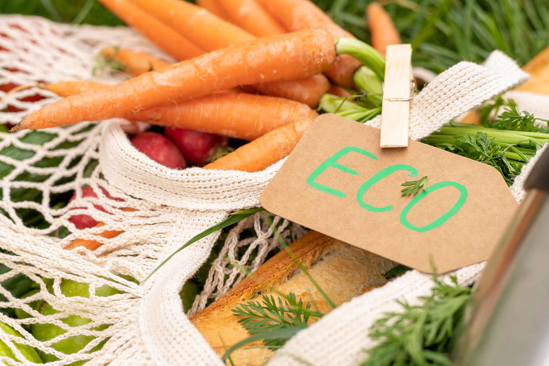 Nachhaltigkeit im Handel: Vom Trend zum Wachstumstreiber