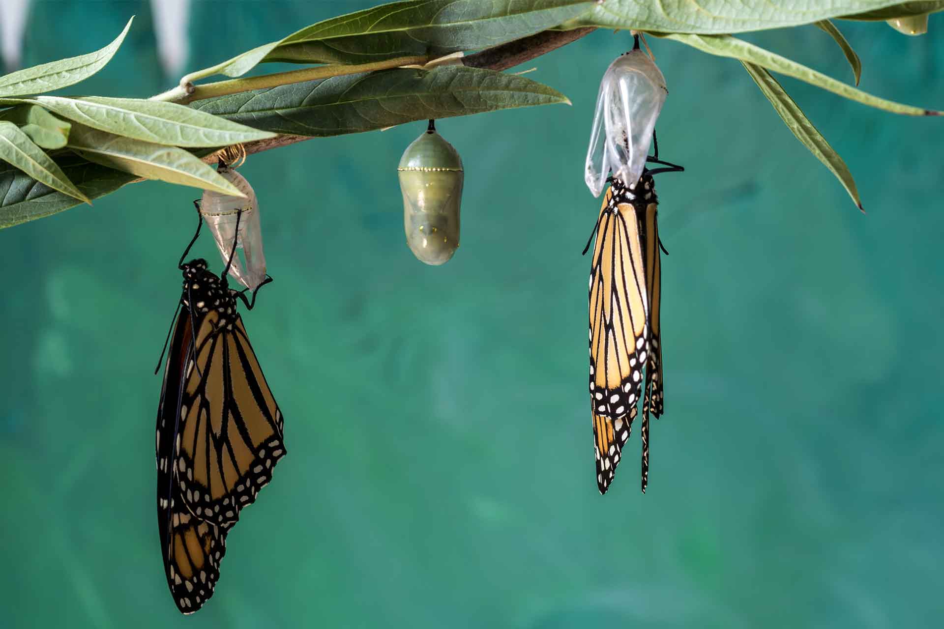 Alles muss sich verändern, steigern und erhöhen! Wirklich? Alles muss sich verändern, steigern und erhöhen! Wirklich?