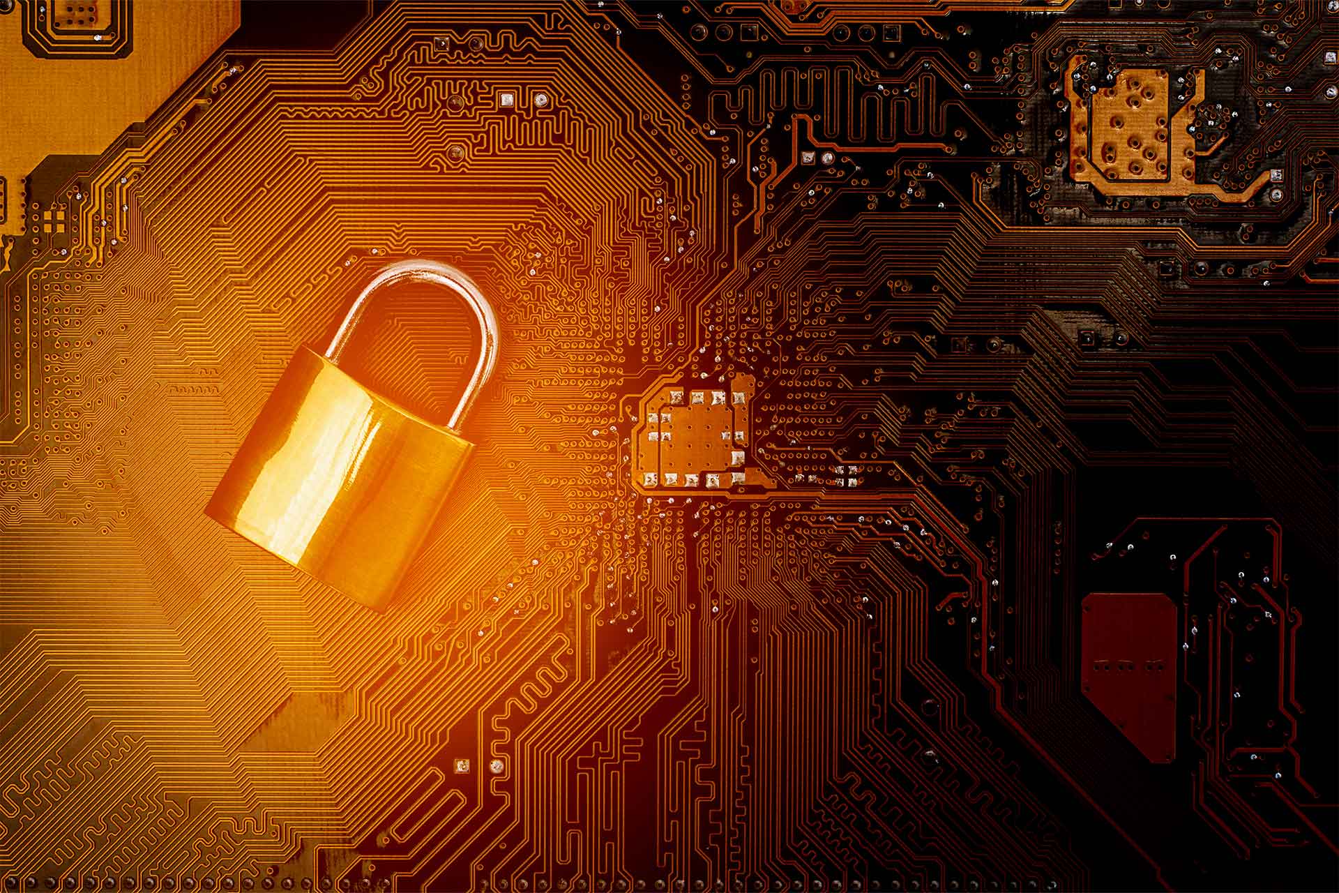 Ransomware stoppen, bevor Daten verloren gehen