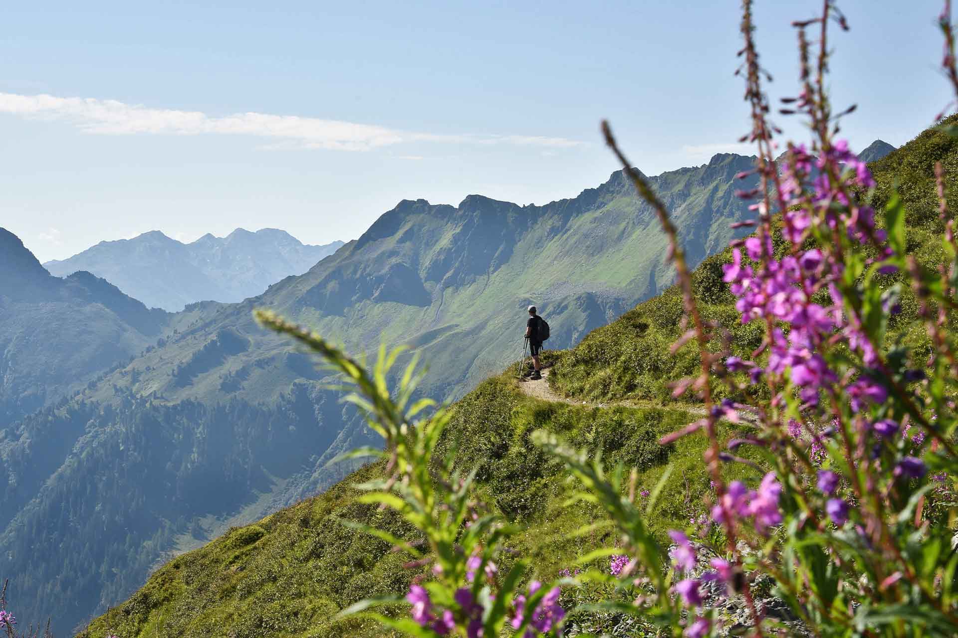 Sprachassistent revolutioniert Gästeerlebnis im Alpbachtal