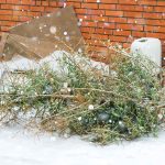 Weil selbst der Weihnachtsbaum nicht ewig glänzt