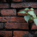 Breaking the Walls: Agentische KI sprengt Silos