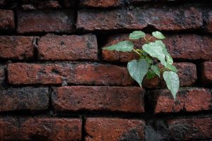 Breaking the Walls: Agentische KI sprengt Silos