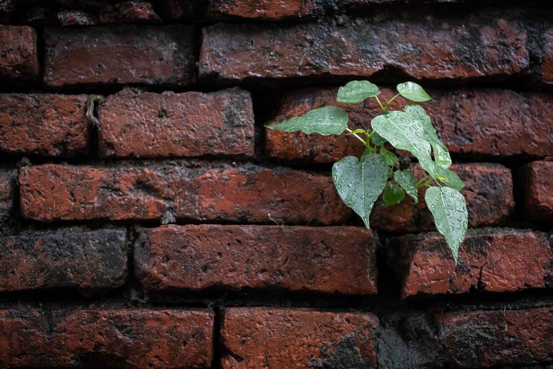 Breaking the Walls: Agentische KI sprengt Silos