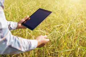 Von Daten zu Entscheiden: Syngentas digitale Agrarrevolution