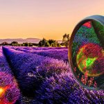 KI-basierte Hyperspektralkamera erschliesst neue Anwendungen (© Fraunhofer IPMS)