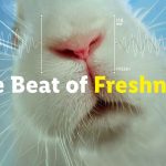 "The Beat of Freshness": Lidl stellt Frische unter Beweis