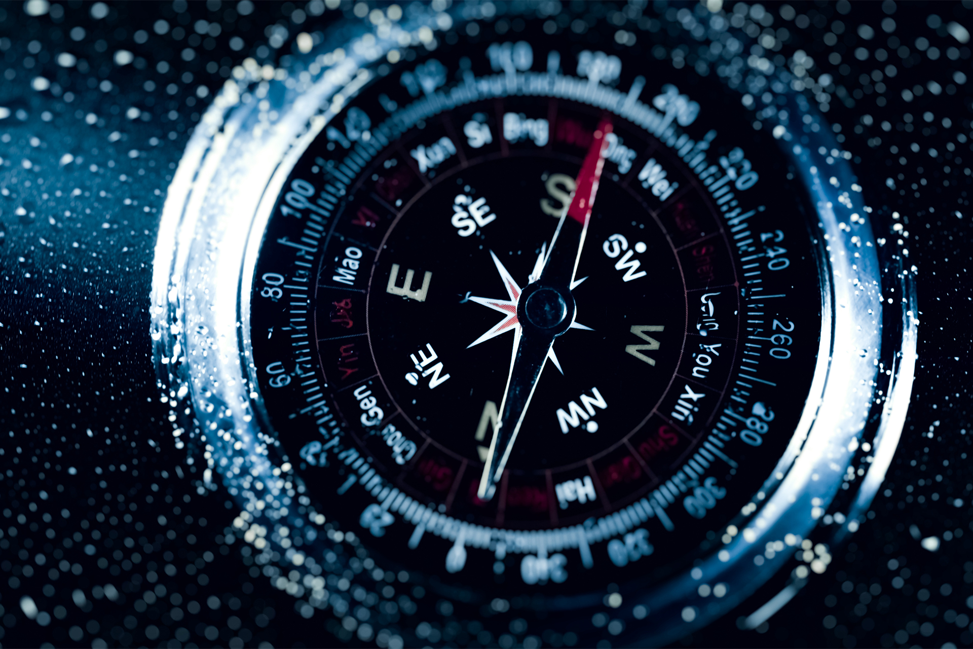 KI-Kompass: 5 Prinzipien für skalierbare KI-Transformation