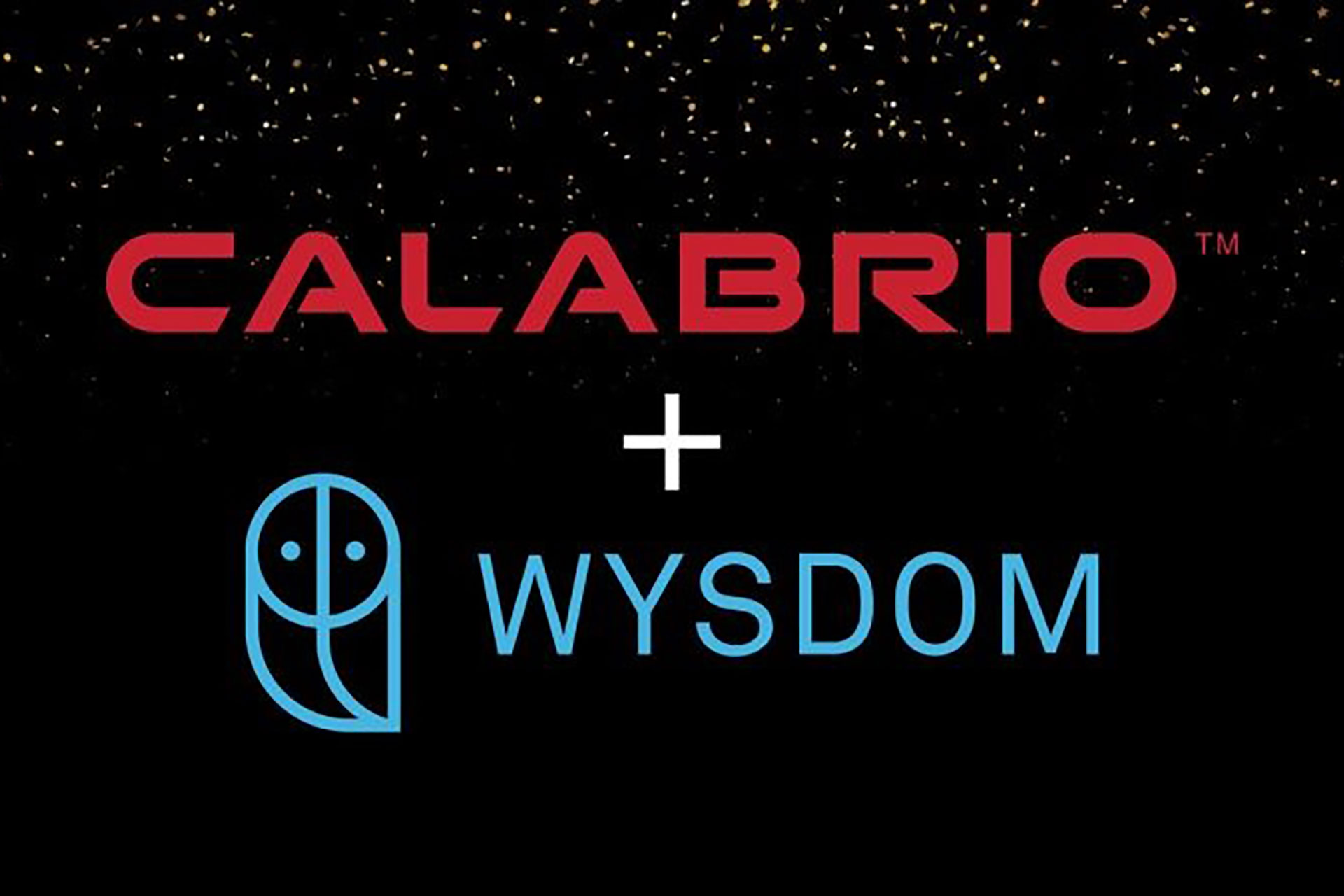 Calabrio übernimmt das KI- und Bot-Unternehmen Wysdom Calabrio übernimmt das KI- und Bot-Unternehmen Wysdom, Bild: www.calabrio.com/de
