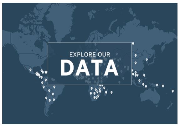 GlobalFund, Inetrview, ServiceNow