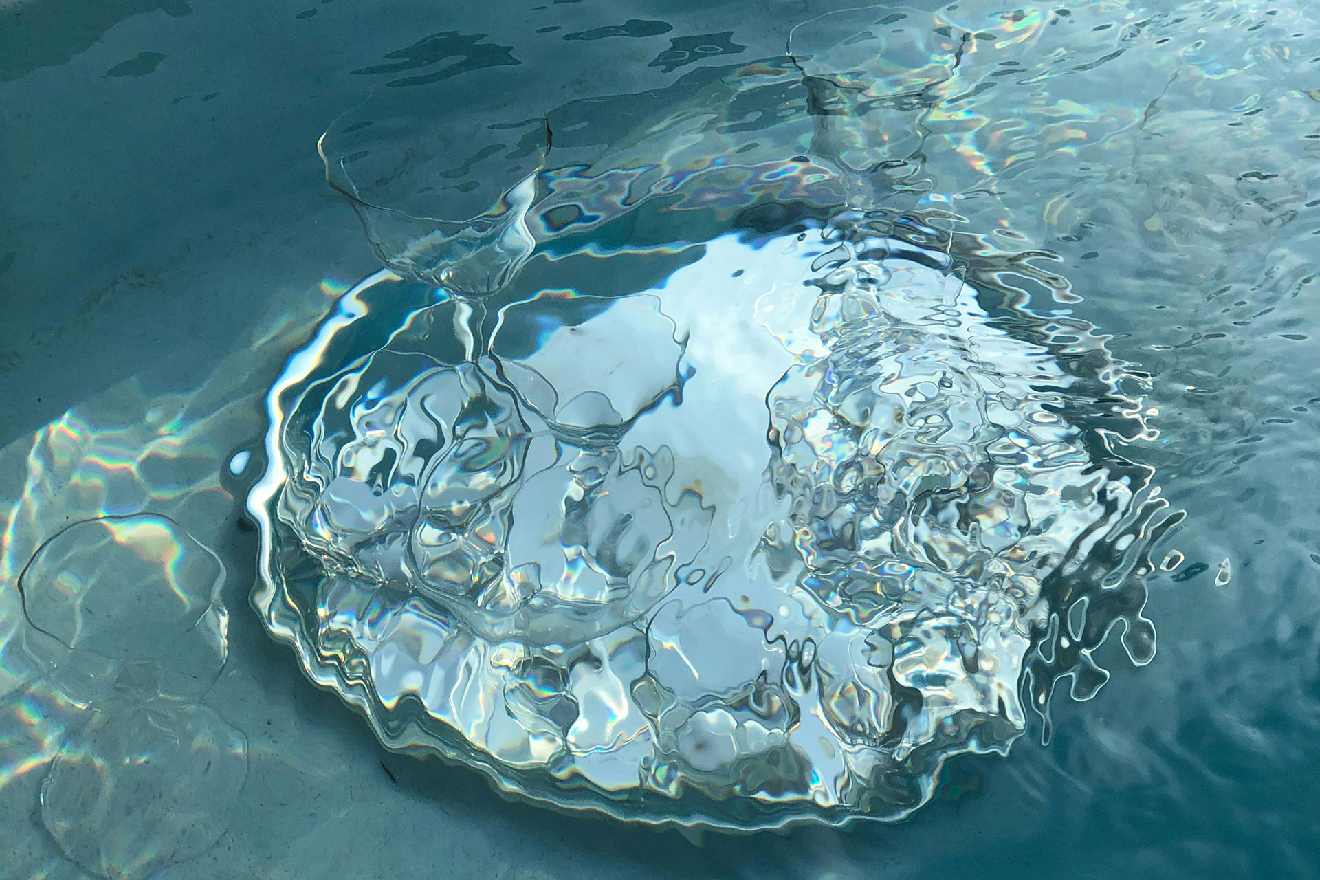 Wie KWC es schaffte, den Vertrieb trotz Neugründung in Rekordzeit zu optimieren, Bild: pexels-jill-burrow-6858665