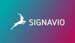 signavio-info-rectangle